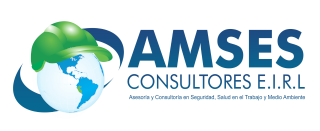 AMSES Consultores, asesoría y consultoría en salud ocupacional, seguridad industrial y medio ambiente